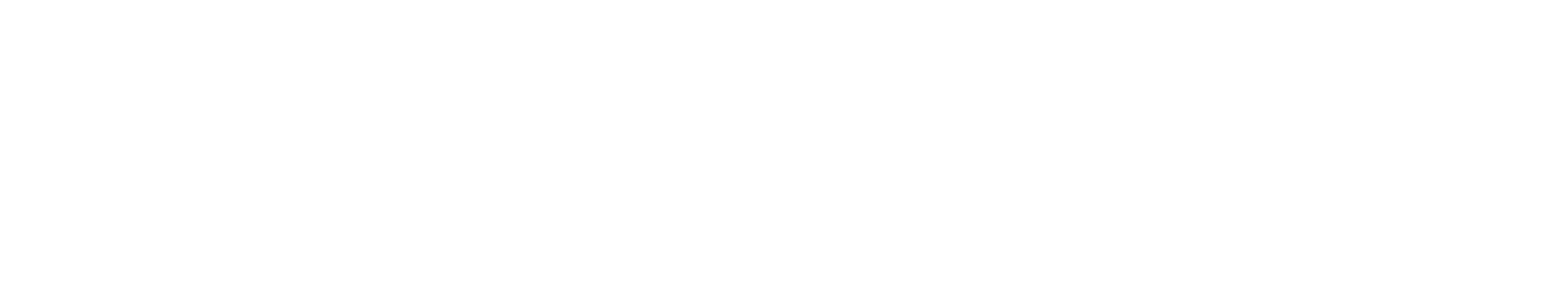 silent partner